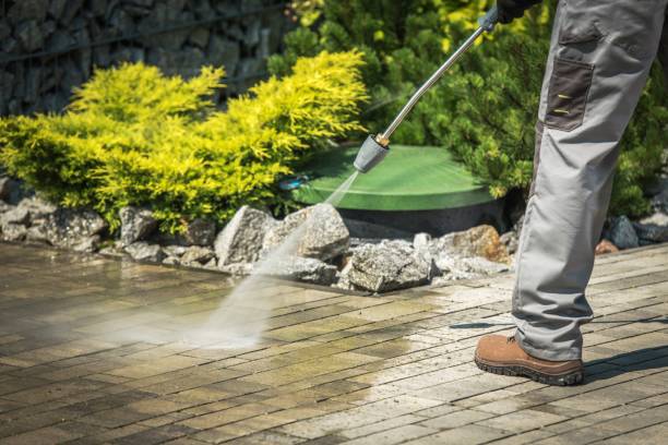 Best Solar Panel Cleaning  in Calhoun, GA